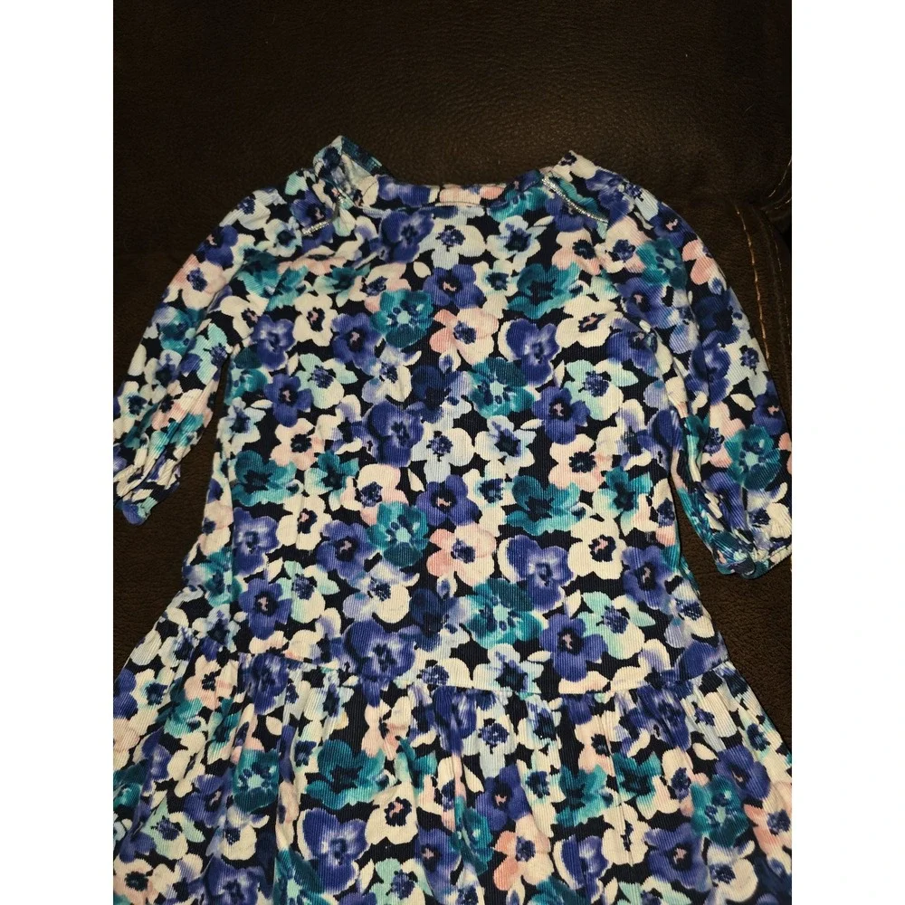 Gymboree butterfly garden floral cord dress size 2t‎